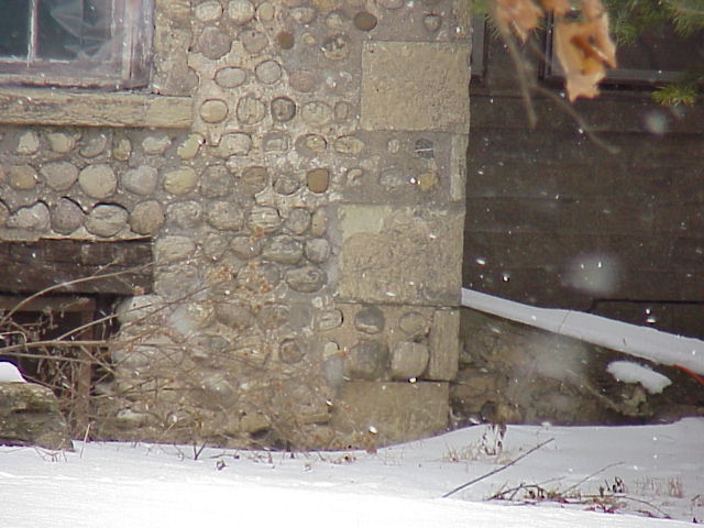 51154447301_a6337b6fd5_o